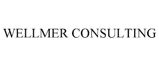 WELLMER CONSULTING