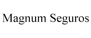 MAGNUM SEGUROS