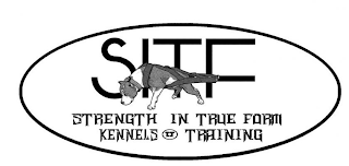 SITF STRENGTH IN THE TRUE FARM KENNELS TRAINING