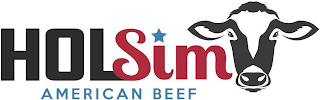 HOLSIM AMERICAN BEEF