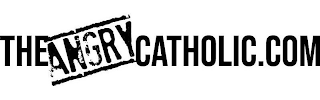 THEANGRYCATHOLIC.COM