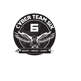 CYBER TEAM SIX 6 IDENTIFY PREVENT DISRUPT