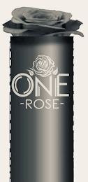 ONE ROSE