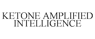 KETONE AMPLIFIED INTELLIGENCE