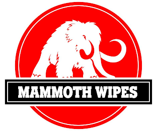 MAMMOTH WIPES