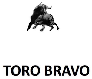 TORO BRAVO