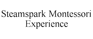 STEAMSPARK MONTESSORI EXPERIENCE