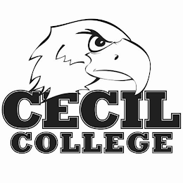 CECIL COLLEGE