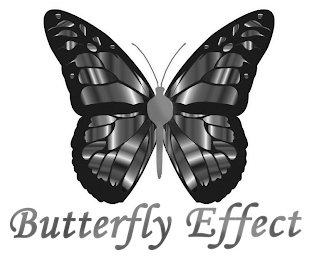 BUTTERFLY EFFECT