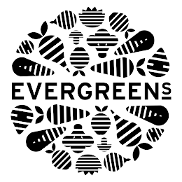 EVERGREENS