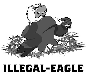 ILLEGAL-EAGLE