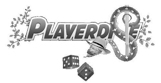 PLAYERDISE