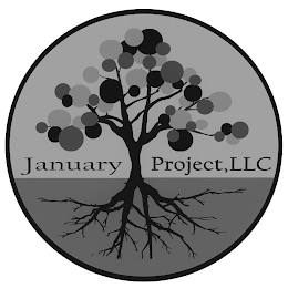 JANUARY PROJECT, LLC