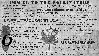 POWER TO THE POLLINATORS NATIVE AMERICAN INDIANS.. BEE DIE MAN HAS FOUR YEARS LEFT.. ALBERT EINSTEIN ECHOED THIS "WHEN THE HONEY  BEES ARE THE WISDOM KEEPERS OF THE SOUTH, SUMMER IS THEIR SEASON INDIAN BEE GODDESS-BHRAMAN DEVI. GODDESS FREQUENTLY TURN INTO BEES TO WARD OFF DEMONS AND PURIFY THE LAND WHEN RA THE EGYPTIAN SUN GOD WEEPS, THE WATER WHICH FLOWS FROM HIS EYES TURNS INTO WORKING BEES. OUR SMALLEST TEACHERS OFFER US OUR MOST PROFOUND LESSONS THE HEXAGON SHAPE IS COSMIC HARMONY THESE GEOMETRIC STRUCTURES ARE HIGHLY ARCHETYPAL TO HUMAN CONSCIOUSNESS THE AVERAGE WORKER BEE WILL MAKE ONE 12TH OF A TEASPOON OF HONEY BEE HUMMING WAS EMULATED IN VECTIC CHANTS EGYPTIANS WERE BURIED WITH THEIR HONEY HONEY BEE ALCHOMIZES THE ELEMENT OF FIRE FROM THE SUN INTO THE SWEETNESS OF LIFE INSECTS ARE OUR FIRST ALERTERS-OUR BODIES ARE EXTENSIONS OF MOTHER EARTH BEES REPRESENT THE INTERCONNECTEDNESS OF ALL THINGS AS THEY MOVE FROM FLOWER TO FLOWER MONKS LIVED IN BEE-HIVE SHAPED HUTS FOUR OF TEN BITES OF FOOD COME FROM THE WORK OF BEES AS WE HEAL AND TRANSFORM OURSELVES, EARTH HEALS WITH US BEES COMMUNICATE THROUGH DANCING THE ICON OF NAPOLEON'S REIGN " THE BEE" HONEY BEE BREATHING ACTIVATES THE THIRD EYE CHAKRA CELEBRATE THE DANDELIONS BEES ARE SO SMALL AND ABLE TO ACHIEVE SO MUCH HONEY BOOST SERITONIN SIX PARTTS OF THE EYE ARE ASSOCIATED WITH OUR SIX SENSES 6 BEE IS "FU" IN CHINESE, ICONOGRAPHY REPRESENTS HAPPINESS, LUCK, PROSERITY AND PEACE BEES LABOR FOR OTHERS AND WORK UNCEASINGLY FOR THE COMMON GOOD BEES ARE PRODUCTIVE NEVER SIDE-TRACKED FROM THEIR GOAL BEES EYES ARE MADE FROM HUNDREDS OF HEXAGONS THE BEES ARE ALTRUISTIC AND SERVES OTHERS BEFORE IT SERVES ITSELF BEES ARE THE MESSENGERS OF LIFE AND SERVICE THE ONLY DIFFERNCE BETWEEN A WEED AND A FLOWER IS JUDGEMENT. HONEY BEES ARE THE STARK HONEST MIRROR OF THE HEALTH OF HUMANS- THE SACRED HEXAGON SHAPE OF THE HONEYCOMB IS LIKE OUR CELLS. BEES SYMBOLIZE COMMUNITY AND TEAMWORK BUZZZZ HMMM ZUM ZUM THE INFINITE BUZZING IS RELATED TO THE PRIMORDIAL ACT OF CREATION