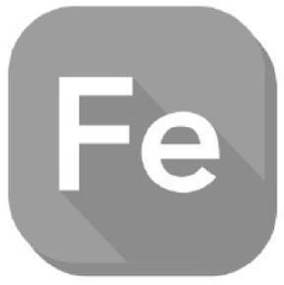 FE