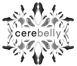 CEREBELLY