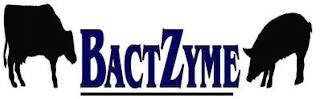 BACTZYME