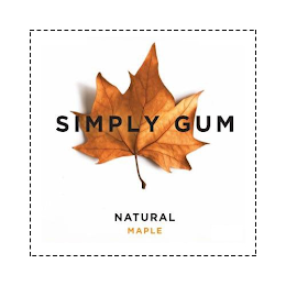 SIMPLY GUM NATURAL MAPLE