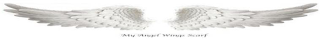 MY ANGEL WINGS SCARF
