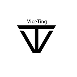 VICETING VT