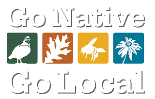 GO NATIVE GO LOCAL