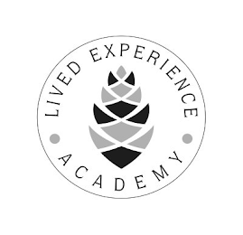 · LIVED EXPERIENCE · ACADEMY