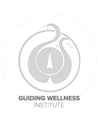 GUIDING WELLNESS INSTITUTE 21 13 5 3 8 1.8 3