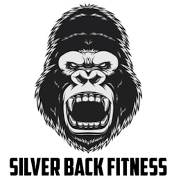 SILVER BACK FITNESS