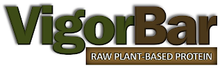 VIGOR BAR RAW PLANT-BASED PROTEIN