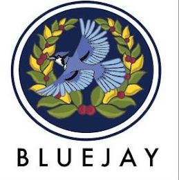 BLUE JAY