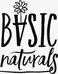 BASIC NATURALS