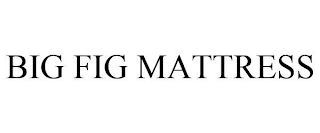 BIG FIG MATTRESS