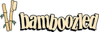 BAMBOOZLED