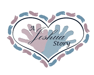 A JOSHUA STORY