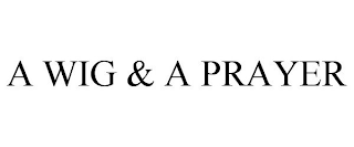 A WIG & A PRAYER