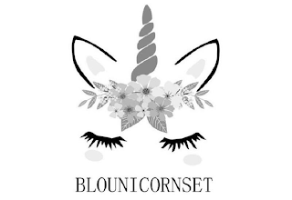 BLOUNICORNSET