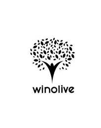 WINOLIVE