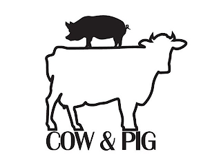 COW & PIG