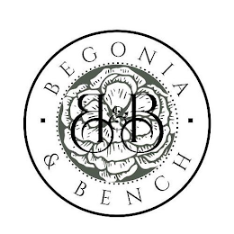 B&B BEGONIA & BENCH