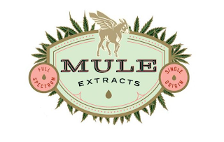 MULE EXTRACTS