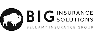 BIG INSURANCE SOLUTIONS BELLAMY INSURANCE GROUP