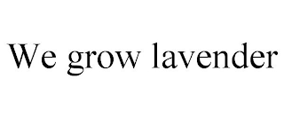 WE GROW LAVENDER