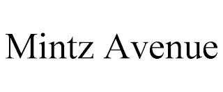 MINTZ AVENUE