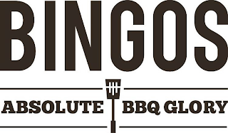 BINGOS ABSOLUTE BBQ GLORY