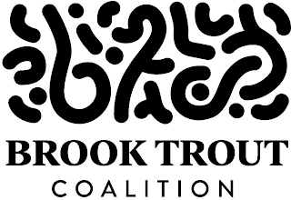 BROOK TROUT COALITION