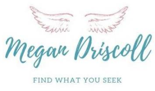 MEGAN DRISCOLL FIND WHAT YOU SEEK