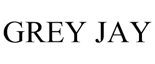 GREY JAY