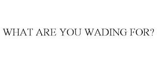 WHAT ARE YOU WADING FOR?