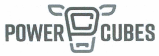 POWER CUBES