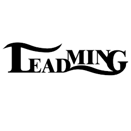 LEADMING